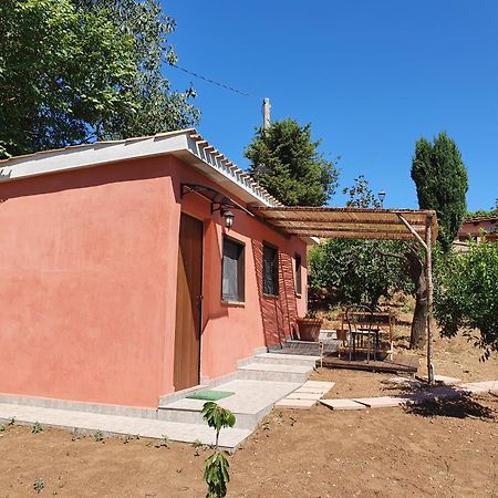 Azienda Agricola Sinisi تشيرفيتيري الغرفة الصورة