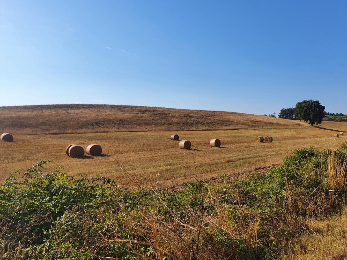 Azienda Agricola Sinisi تشيرفيتيري المظهر الخارجي الصورة