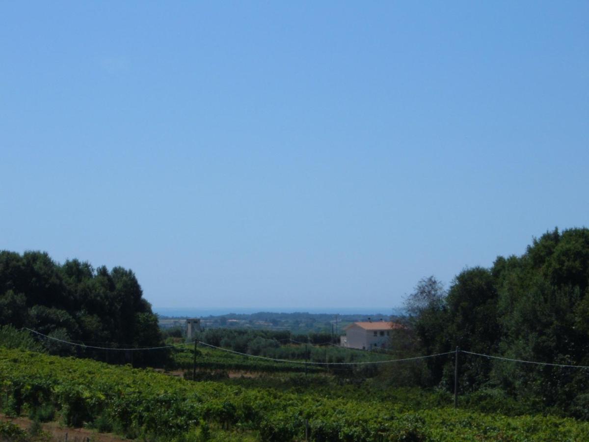Azienda Agricola Sinisi تشيرفيتيري الغرفة الصورة
