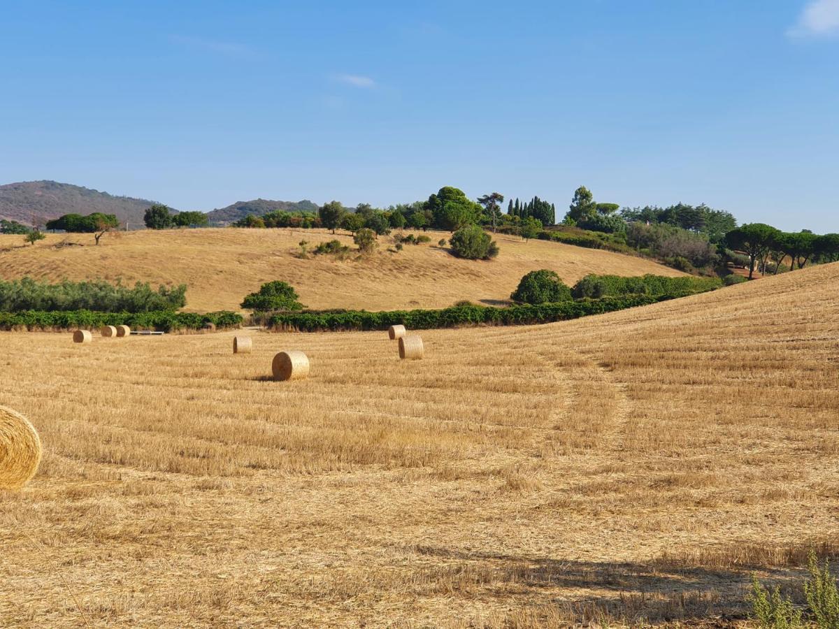 Azienda Agricola Sinisi تشيرفيتيري المظهر الخارجي الصورة